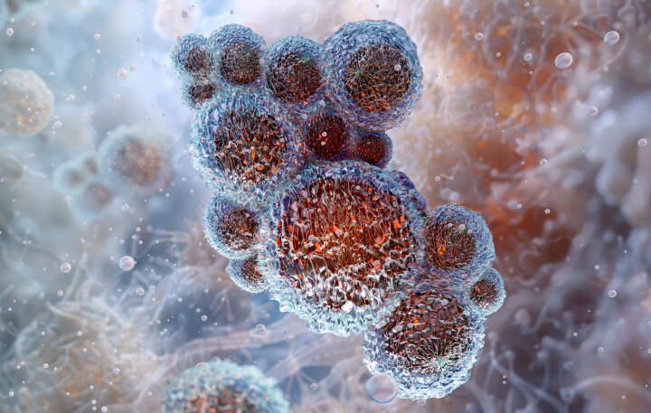 GeneProof Ureaplasma parvum MC PCR Kit